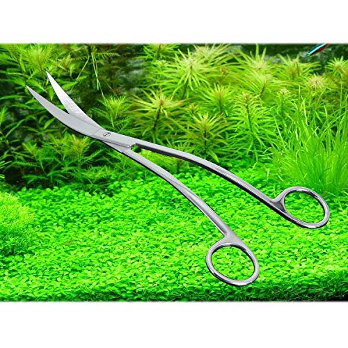 iwobi 24 CM Tijeras de Plantas acuáticas, Tijeras de podar para Plantas de Acuario Tanque de Peces de Acuario Tijeras de Acero Inoxidable