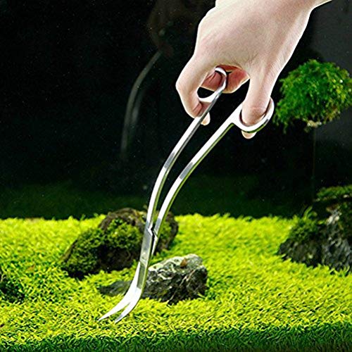 iwobi 24 CM Tijeras de Plantas acuáticas, Tijeras de podar para Plantas de Acuario Tanque de Peces de Acuario Tijeras de Acero Inoxidable