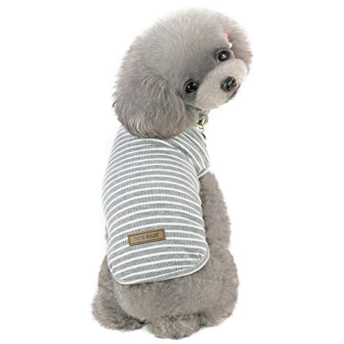 Jersey para Perro o Gato Pequeño/Ropa Cómoda de Punto para Mascotas Suéter de Abrigo para Mascotas Rosa Rojo Azul Gris Hierba - Peso 1,2-9,0 kg