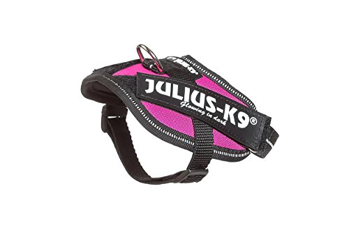 Julius-K9 16IDC - Power Harness