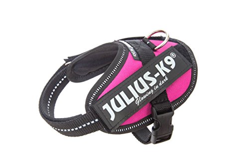 Julius-K9 16IDC - Power Harness