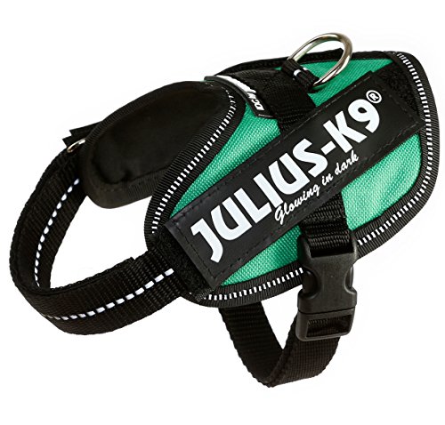 Julius-K9 16IDC - Power Harness