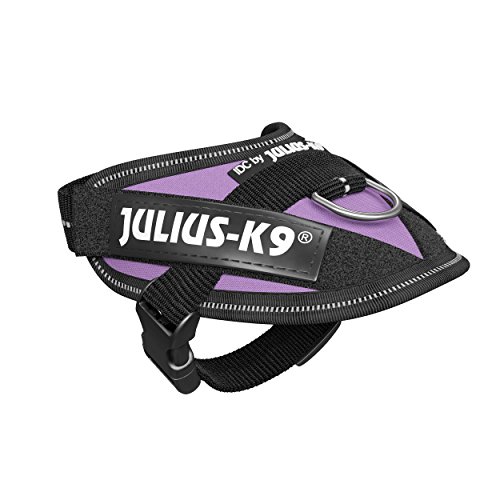 Julius-K9 16IDC - Power Harness