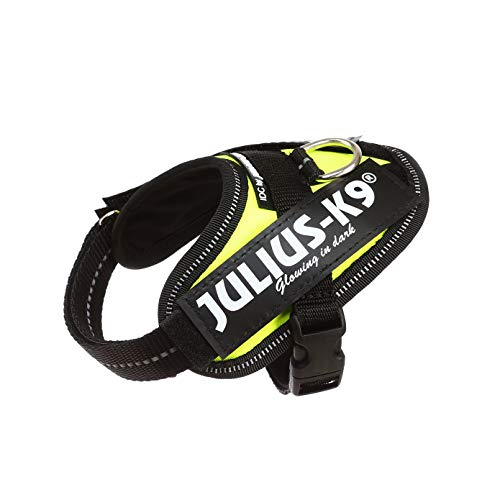 Julius-K9 16IDC - Power Harness