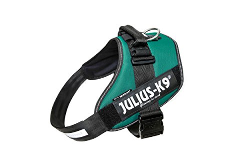 Julius-K9 16IDC - Power Harness