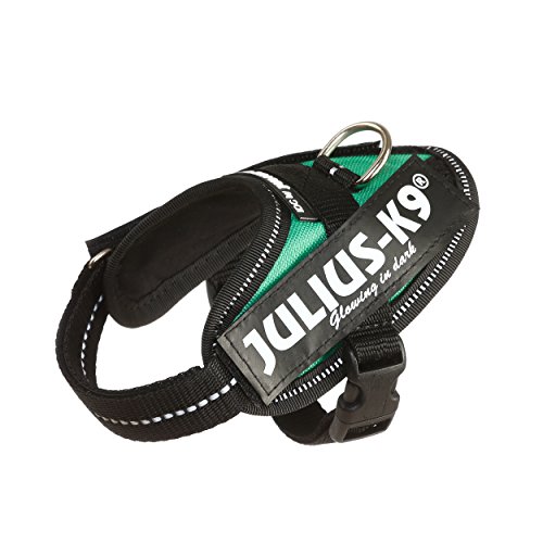 Julius-K9 16IDC - Power Harness