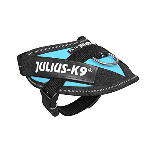 Julius-K9 16IDC - Power Harness