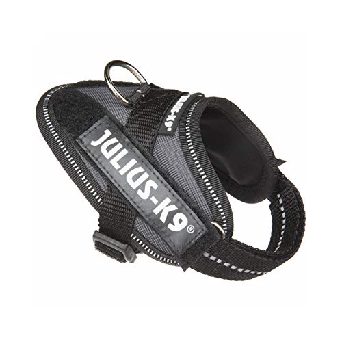 Julius-K9 16IDC - Power Harness