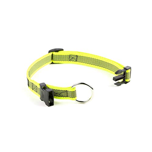 Julius-K9 Collar Color & Gray, 20 mm (27-42 cm), Neón-Gris