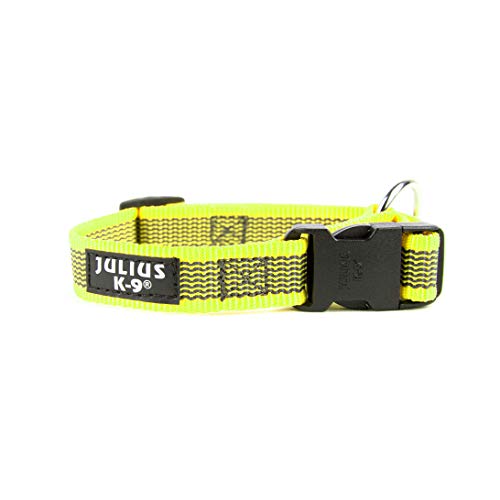 Julius-K9 Collar Color & Gray, 20 mm (27-42 cm), Neón-Gris