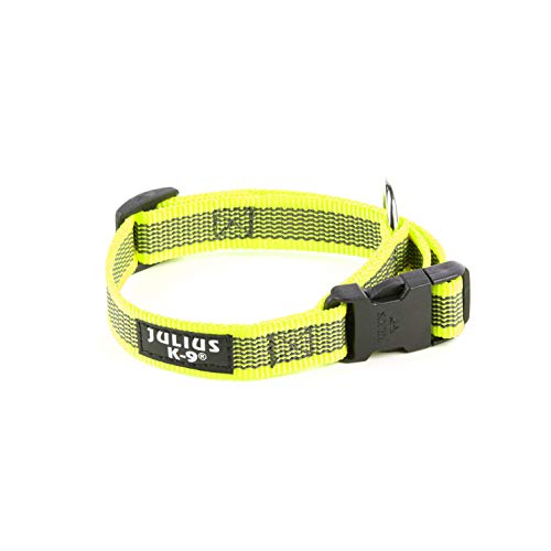 Julius-K9 Collar Color & Gray, 20 mm (27-42 cm), Neón-Gris