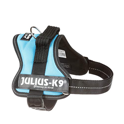 Julius-K9 PowerHarness para perros, color aguamarina, talla Mini