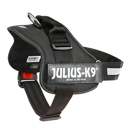 Julius-K9, Talla 1, 66-85 cm, Negro