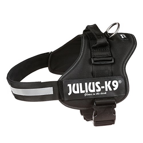 Julius-K9, Talla 1, 66-85 cm, Negro