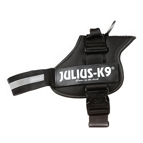 Julius-K9, Talla 1, 66-85 cm, Negro