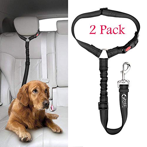 Just Pet Zone - Cinturón para reposacabezas de Coche para Perro, 2 Unidades, Ajustable, Duradero, con elástico de Nailon