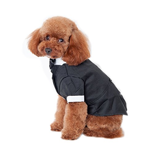 Keysui Mascotas fiesta traje Formal traje ropa abrigo para perros ropa