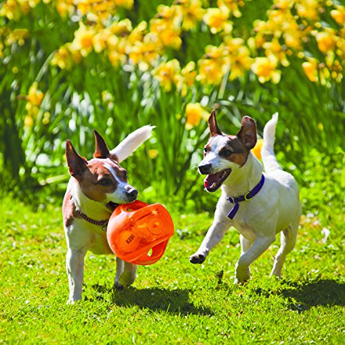 KONG - Jumbler Ball - Juguete con pelota de tenis - Para Perros Grandes/Extragrandes (varios colores)