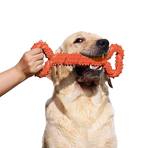 LANYUKEJI Duros Juguetes morder para Perros, 13 Pulgada Goma Juguete Forma de Hueso con Superficie Convexa Resistente Juguetes interactivos para Cachorro de Perros pequeños medianos y Grandes