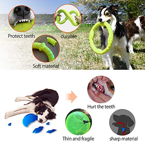 LaRoo Dog Frisbee Dog Disc Toy, Disco de Lanzamiento Duradero para Perros Fuertes para Perros pequeños, medianos y Grandes, Deporte, Ejercicio, Actividad y Juegos al Aire Libre (30 cm Verde)