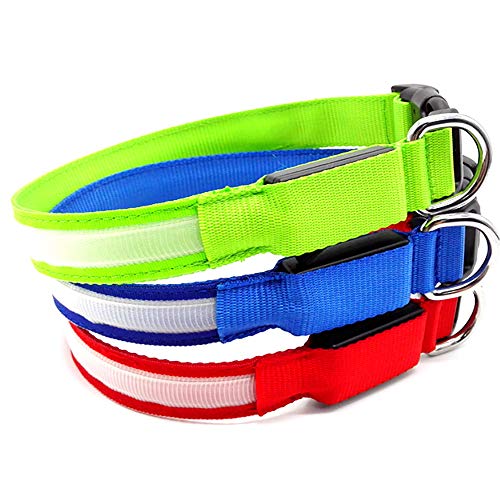 MASBRILL Collar Luminoso Perro de Mascota, 3 Modos Collar Perro Luz con Recargable y Impermeable, Ajustable Collares LED para Perros Pequeños/Medianos/Grandes(Azul M)