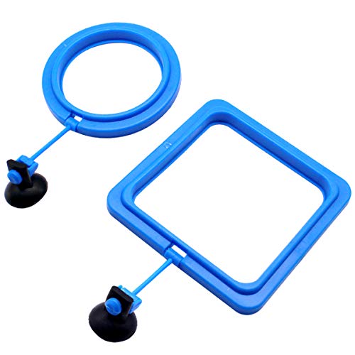 Natuce 2PCS Anillo de alimentación para pecera, Alimentador de Pescado con Ventosa,Acuario, pecera, Tanque de alimentación, Bandeja Flotante de Alimentos, alimentador automático - Azul