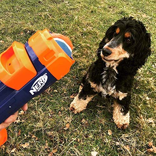 Nerf Pelota de Tenis para Perro, Juguete bláster, Pelota de Tenis Hydrosport