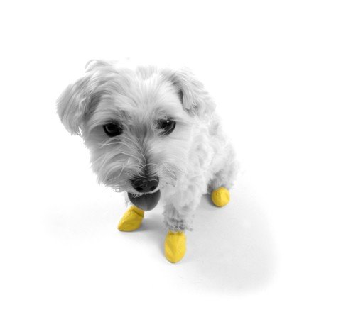 Ortocanis Botas para Perro Pawz (Caucho) - protección, Control de tracción, irritaciones, heridas - 7 Tallas