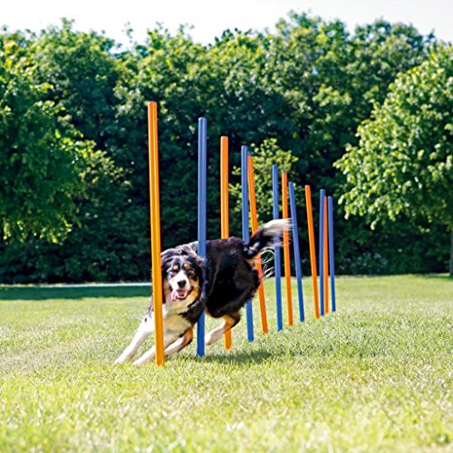 Pawise 11431 Agility Slalom (Perros Valla de Entrenamiento Juego de Varillas + Bolsa, 12 Unidades)