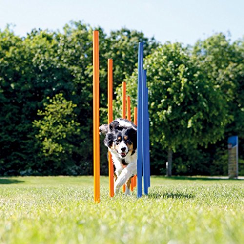 Pawise 11431 Agility Slalom (Perros Valla de Entrenamiento Juego de Varillas + Bolsa, 12 Unidades)