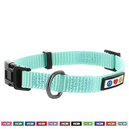 Pawtitas Collar para Perros Ideal para el adiestramiento de tu Mascota, Collar de Perro cómodo y Duradero con Anillo de Metal para Etiqueta de Nombre - Collar Color Turquesa S