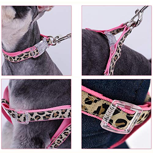 PAWZ Road Collar y Arnés de Pecho Entrenamiento de Mascotas Correas Perros Cuerda Estampado Leopardo 3 Set para Correr Pasear Rosa S