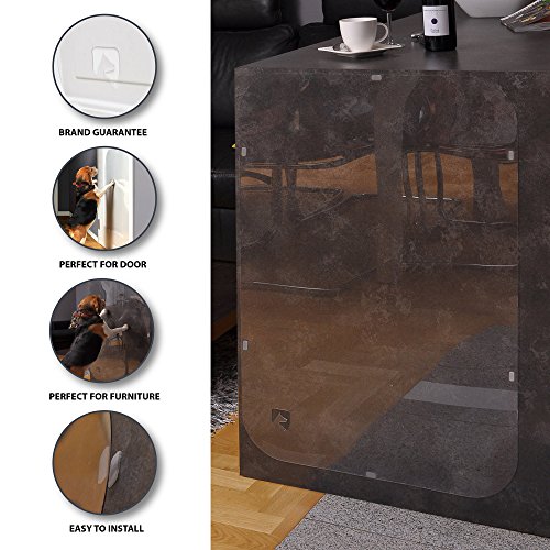 PETFECT - Protector de arañazos para Puerta de Gato (45 x 30 cm) para Uso Interior y Exterior, Transparente