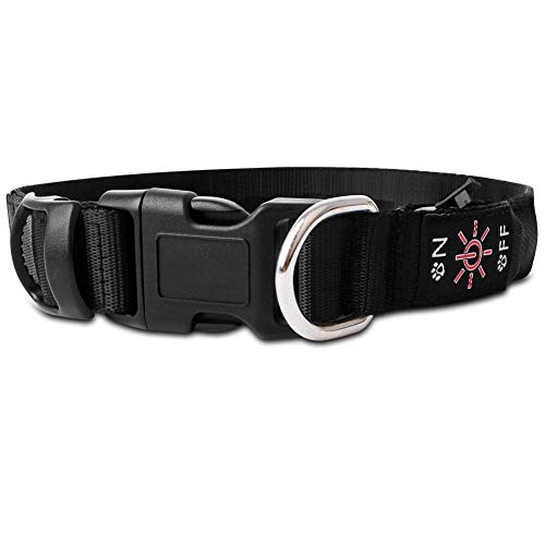 PetIsay LED Collar para Perros, Super Brillante con luz LED Recargable por USB, Collar de Perro Iluminado para Seguridad Nocturna, Resistente al Agua, tamaños Ajustables(Rosado，L(50-60cm))