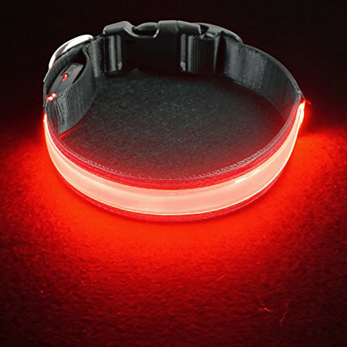 PetIsay LED Collar para Perros, Super Brillante con luz LED Recargable por USB, Collar de Perro Iluminado para Seguridad Nocturna, Resistente al Agua, tamaños Ajustables(Rosado，L(50-60cm))