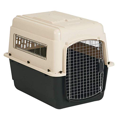 Petmate 21562 Vari Kennal Ultra 32 Transportin, 82 x 57 x 61 cm