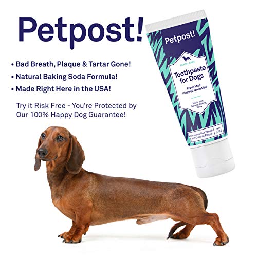 Petpost | Pasta Dental para Perros - Gel Dental a Base De Bicarbonato De Sodio Y Aceite De Coco Que Naturalmente Mata El Mal Aliento - Desaparecen Las Caries Y Caries Dentales - Sabor a Menta