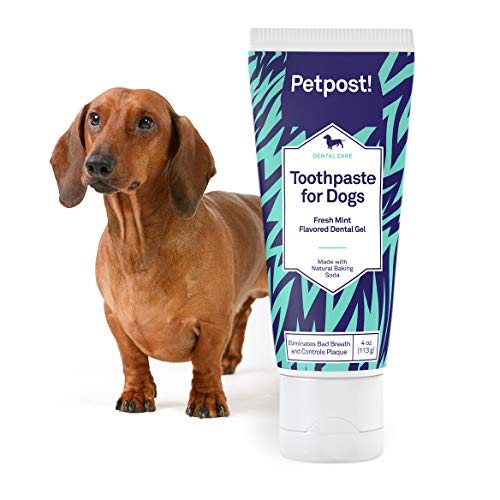 Petpost | Pasta Dental para Perros - Gel Dental a Base De Bicarbonato De Sodio Y Aceite De Coco Que Naturalmente Mata El Mal Aliento - Desaparecen Las Caries Y Caries Dentales - Sabor a Menta