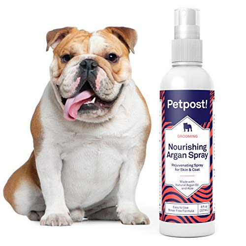 Petpost | Spray de champú de argán sin Agua para Perros - Desodorante y Limpiador de Pieles naturalmente nutritivo para Pieles más sanas y Brillantes - Fórmula sin Enjuague