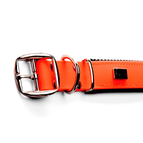 PetTec Collar de Perro Cómodo y Duradero, Fabricado con Trioflex lo Que lo Hace Fuerte; para Perros Grandes o Pequeños, Ajustable y con Relleno Impermeable (Naranja)