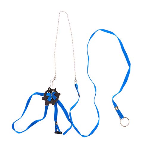 POPETPOP Arnés para Mascotas Reptil Turtle Lizard Leash Correa de Entrenamiento Ajustable para Exteriores (Azul)