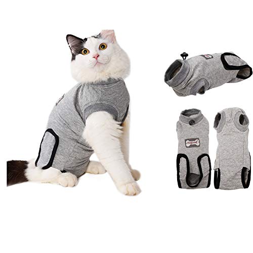 RC GearPro Traje de recuperación Cat para heridas Abdominales o Enfermedades de la Piel, Camisa de Gato de algodón Alternativa y Transpirable después de heridas por cirugía (M, Gris)