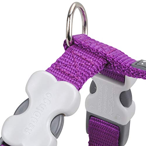 Red Dingo GmbH 9330725051768 Petral Perro,  Morado, M, 15mm, Cuello 30-48cm, Cuerpo 36-54cm