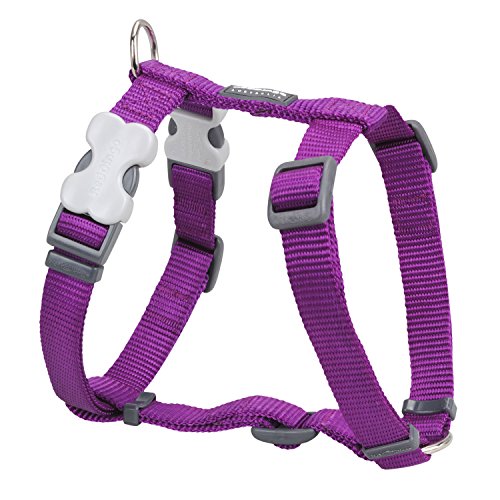 Red Dingo GmbH 9330725051768 Petral Perro,  Morado, M, 15mm, Cuello 30-48cm, Cuerpo 36-54cm