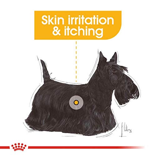 ROYAL CANIN Alimento húmedo DERMACOMFORT Paté para Perros con Pieles Sensibles, Caja Completa 12 x Sobres 85g