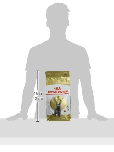 Royal Canin C-58665 British Shorthair - 2 Kg