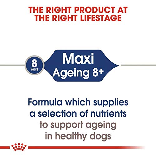 ROYAL CANIN Comida húmeda Maxi Ageing 8+ Trozos de Carne en Salsa para Perros Senior de Razas Grandes - Caja 10 x 140 gr (Bolsitas)