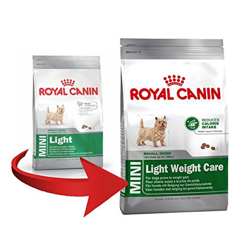 Royal Canin Mini Light, Cuidado de Peso Adulto Seco Perro Alimento 8 kg (Pack de 2)