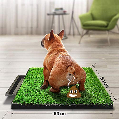 Sailnovo Inodoro para Perros Césped Interior Orinal Perro Almohadilla de Entrenamiento de Hierba para Mascotas Doméstico 63 x 50 x 7 cm