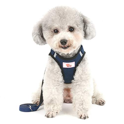 SELMAI Arnés de Malla para Gatos Perros Pequeños No Tirar No Estrangular A Prueba de Escape Chaleco Arnés para Cachorro Correa Ajustable para Gatito Caminando Suave Material de Pana,Azul,M